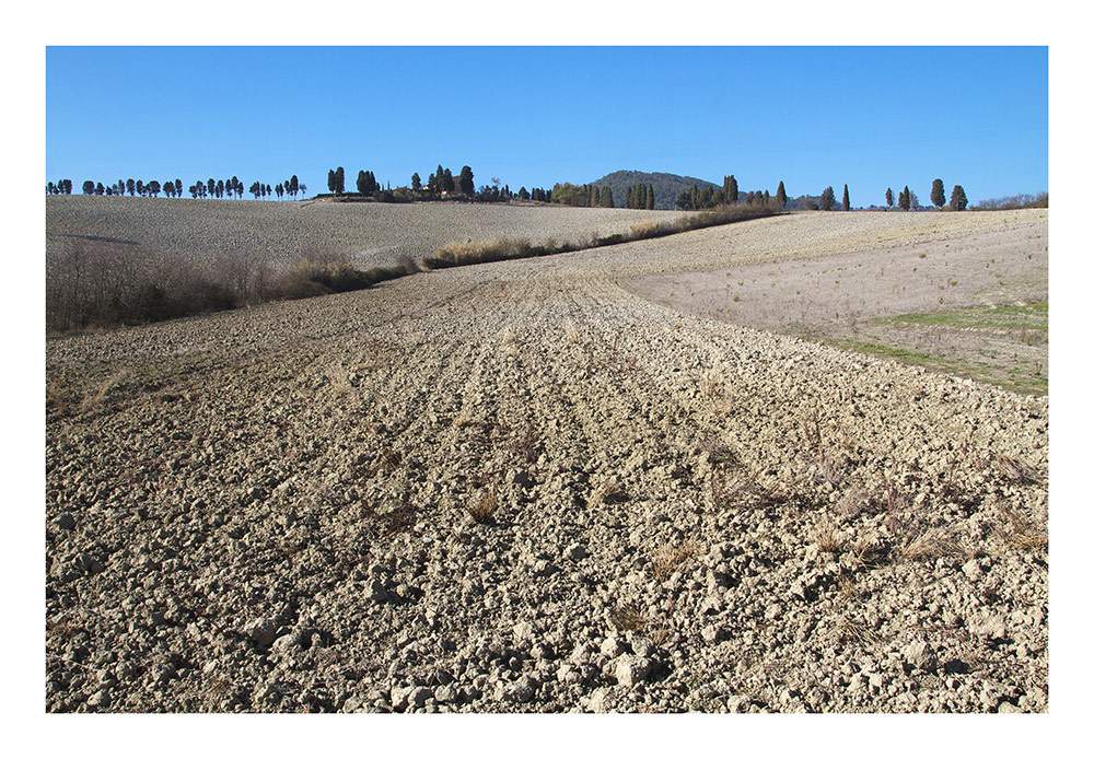 IMG 3549 -Terre di Toscana