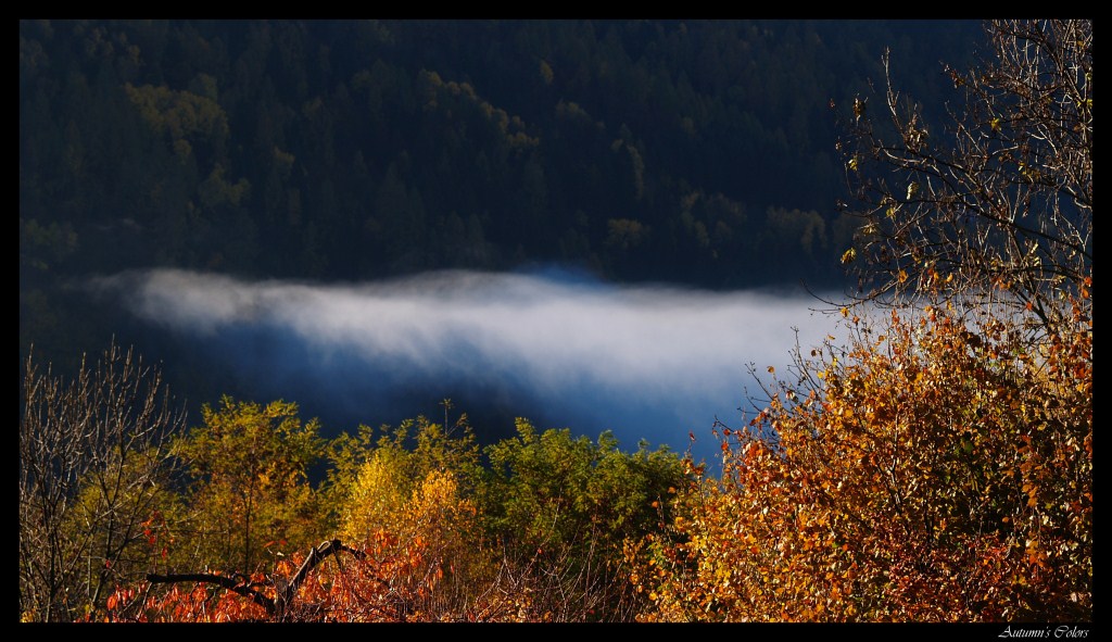Colori D'Autunno