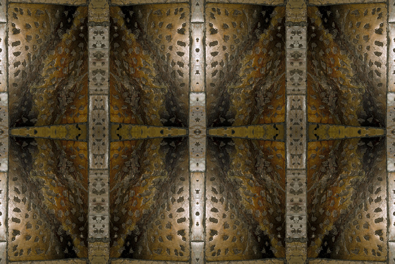 Griglia luminosa@2011