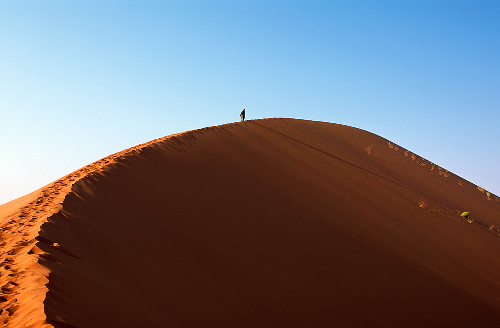 Uno su mille ce la fa