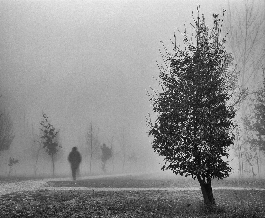 Solitaria passeggiata