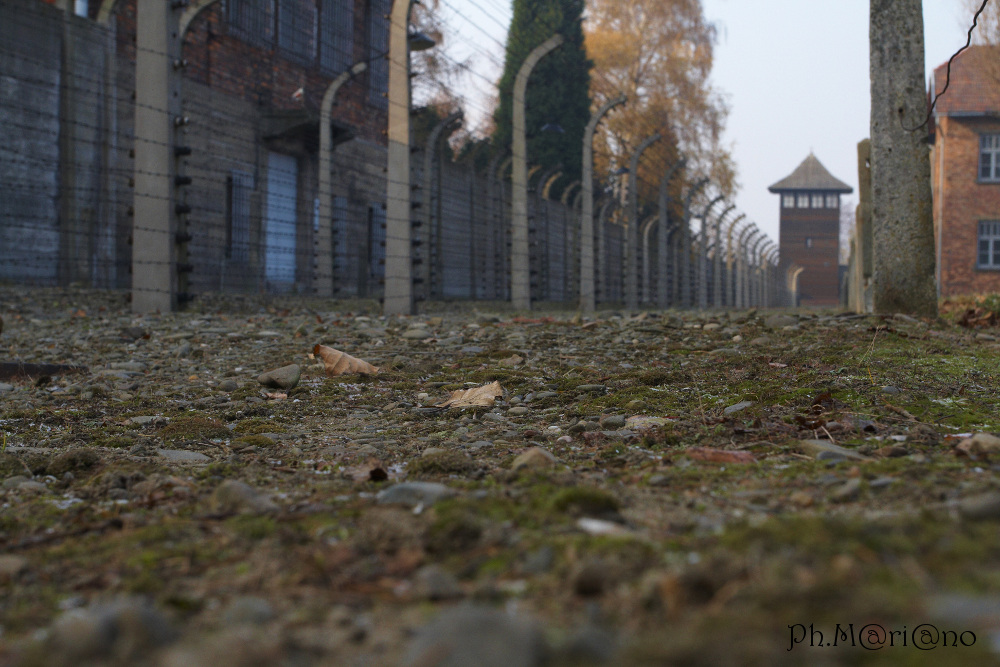 The one who does not remember history is bound to live through it again