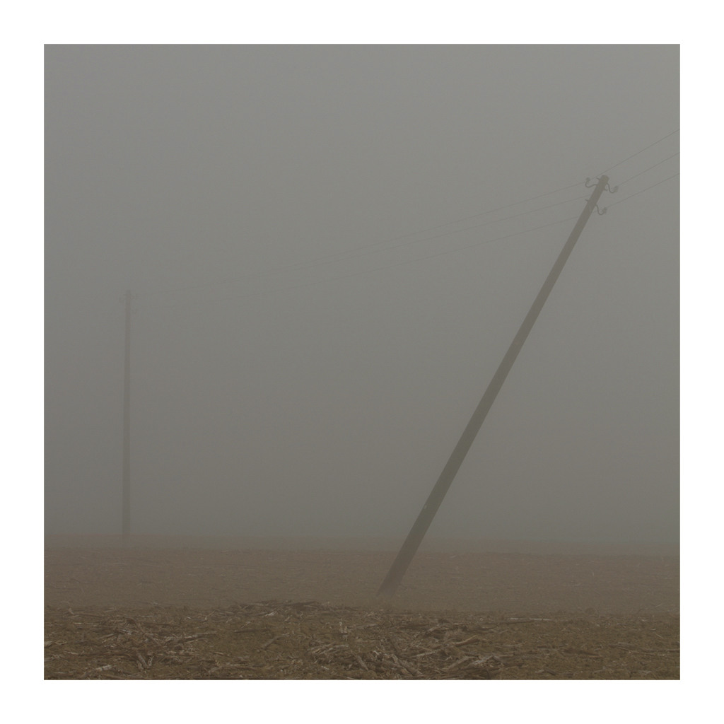 La solitudine dei numeri primi