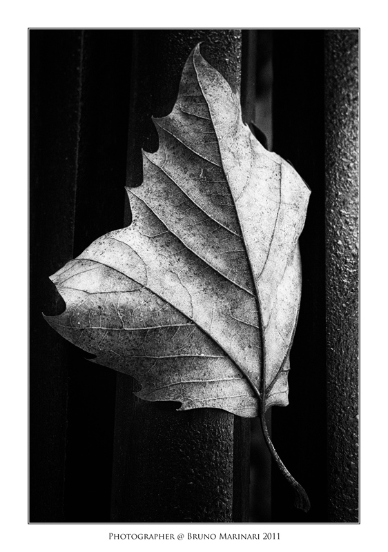 L'ultima sosta prima della fine