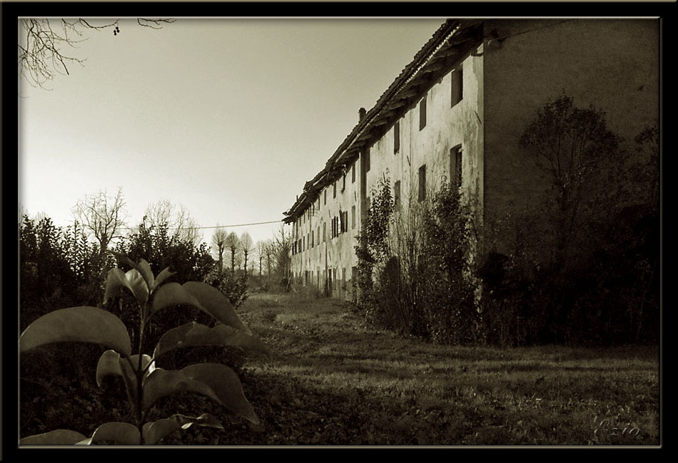 Vecchia casa di contadini abbandonata