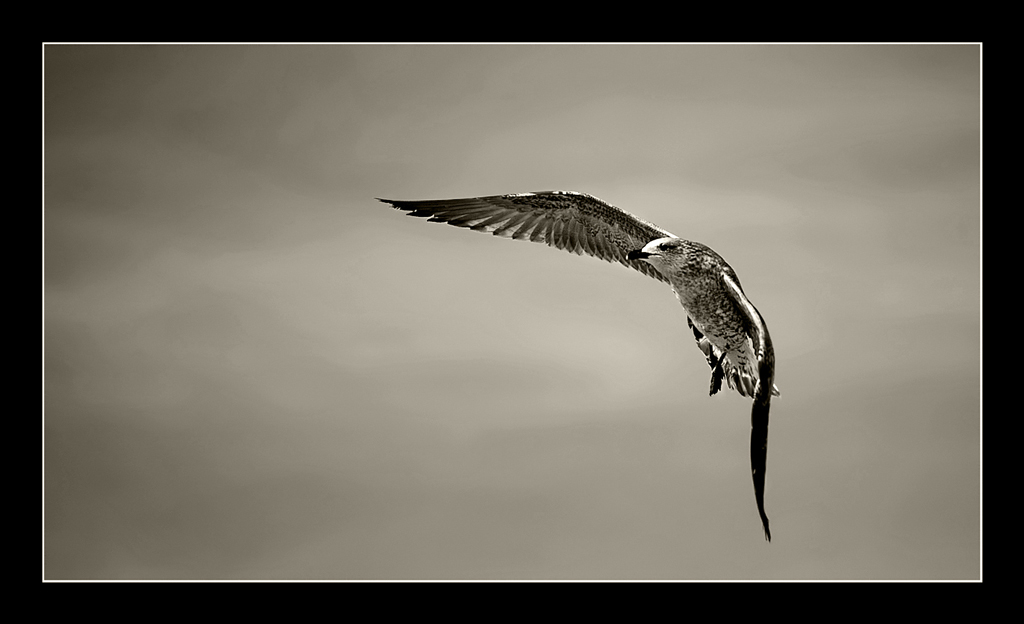 Una giornata al mare
