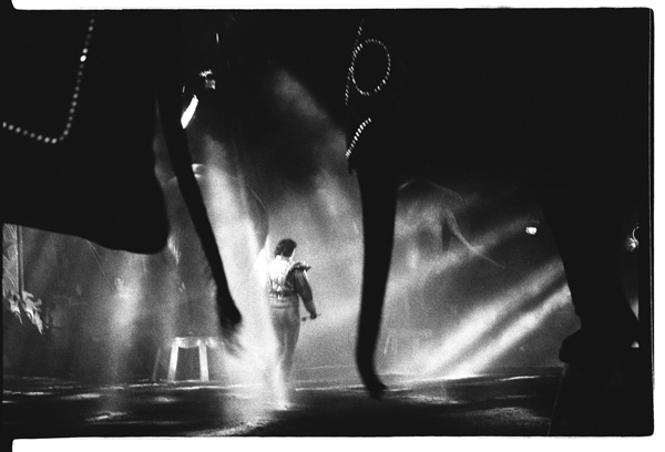 fasci di luce con elefanti