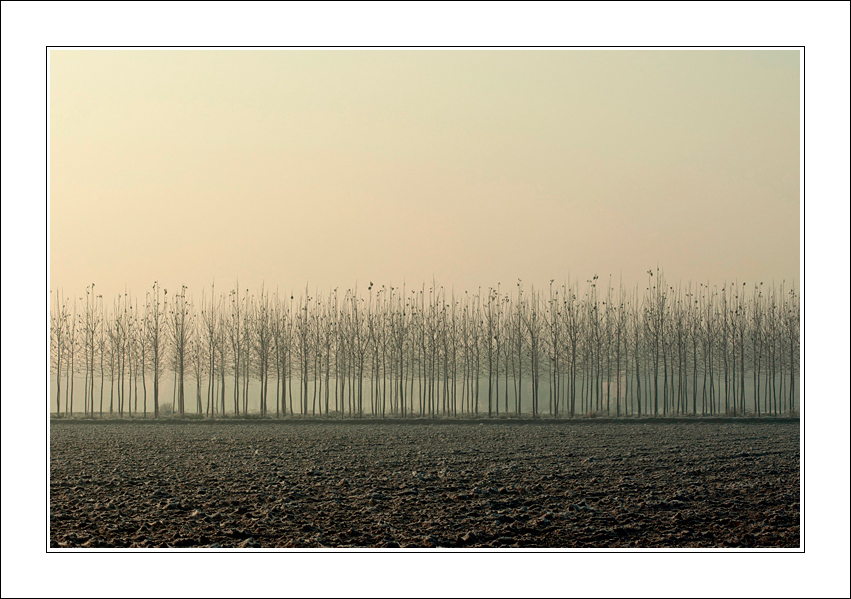 Fredde e rarefatte impressioni