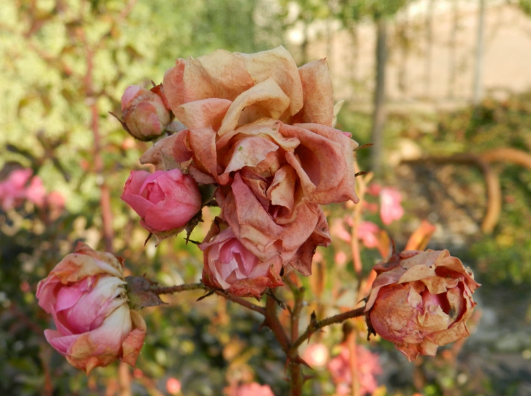 Resiste ancora. Resiste ancora.