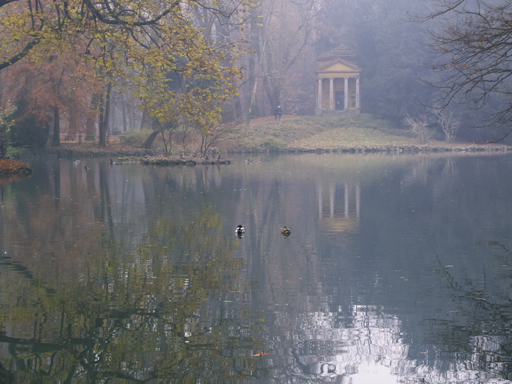 Passeggiata nella nebbia