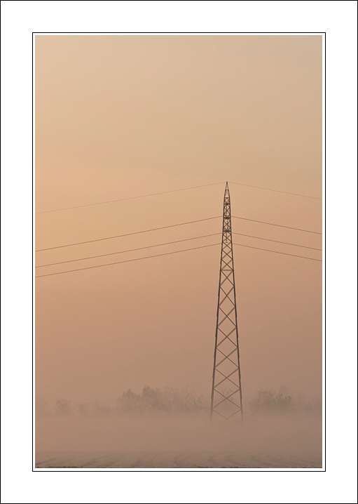 Un ritorno, ma in rosa...