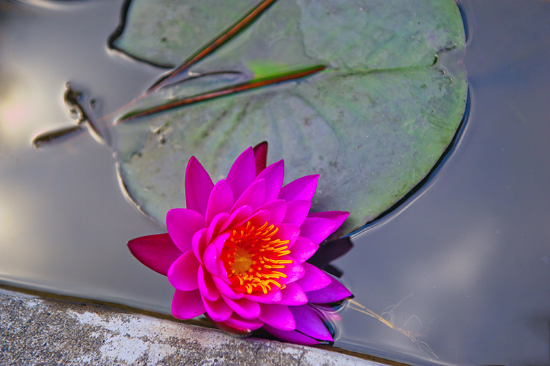 Dolce ricordo infinito