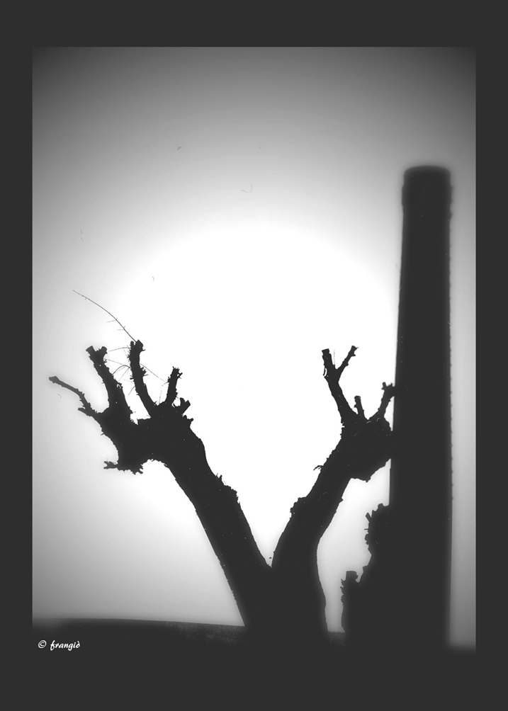 Odore di ... Bruciato!