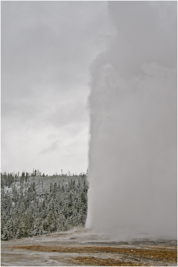 Yellowstone - Old Faithfull