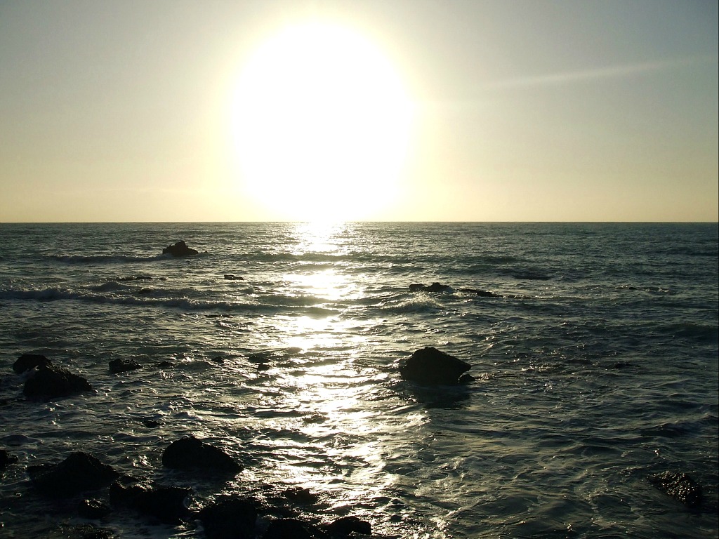 Splende sempre il sole. 8