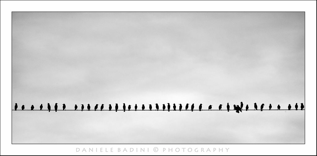 ..tutti in fila..........