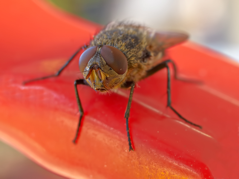 si � posata li'.....