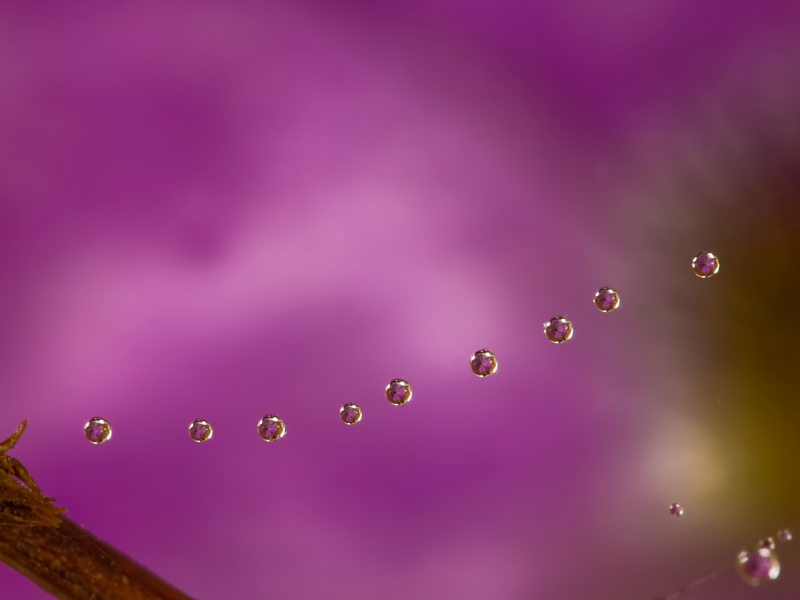 perline colorate....