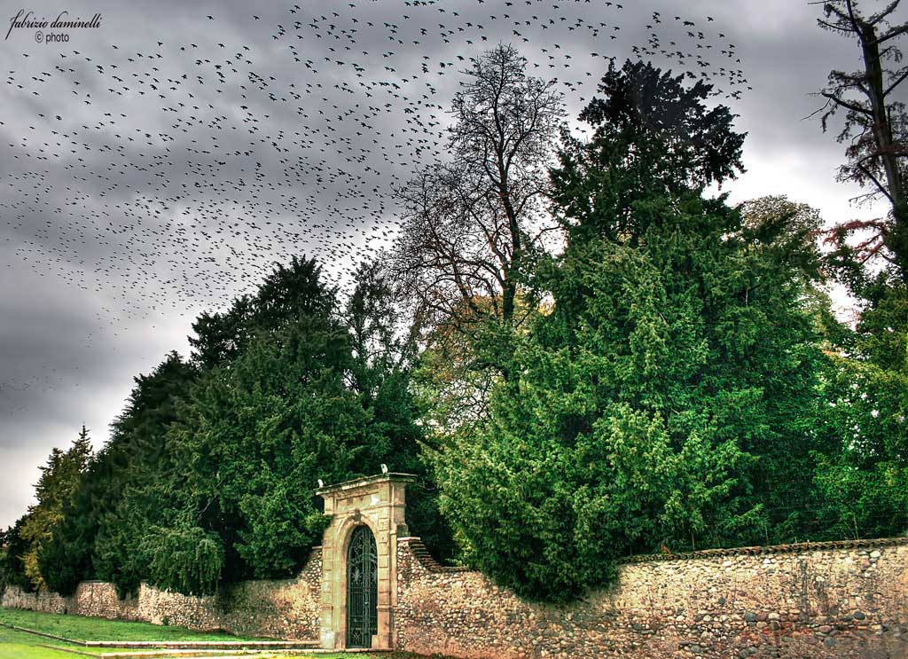 volando tra le nuvole