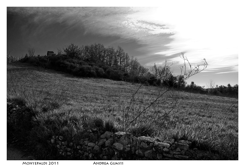 Paesaggio toscano... B-N