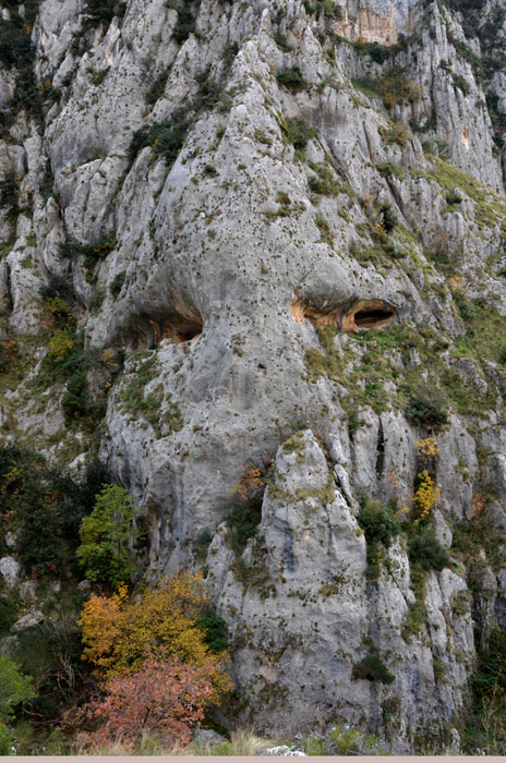 il guardiano della valle