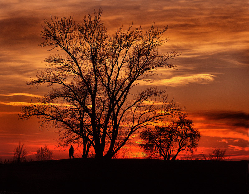 tramonto al Parco Nord