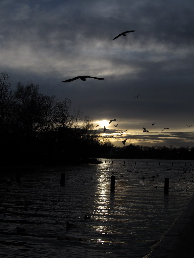 Saint James's park at sunset_2