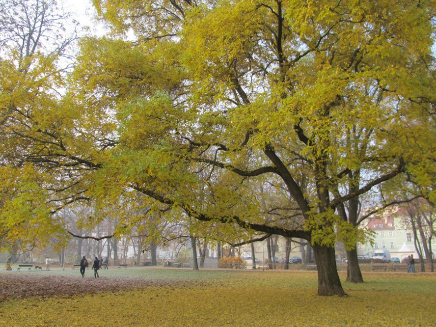 Autumn in Prague