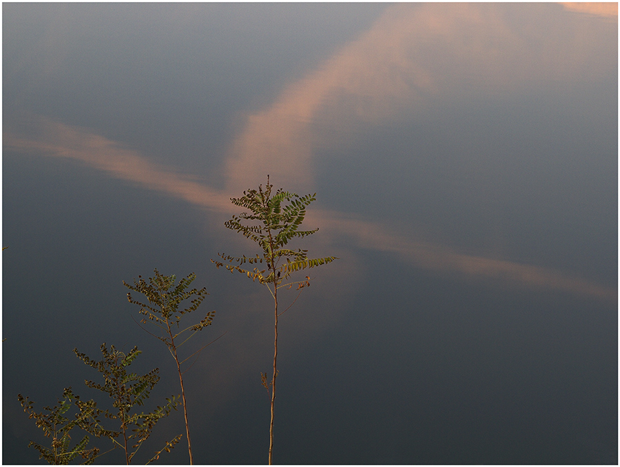 img 3725 - Sull'Arno