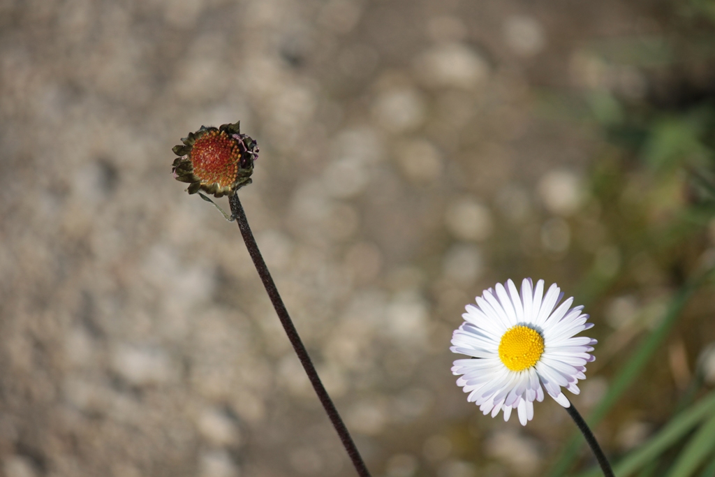 Pantalica_vita e morte