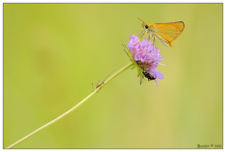 Siamo rimasti in tre