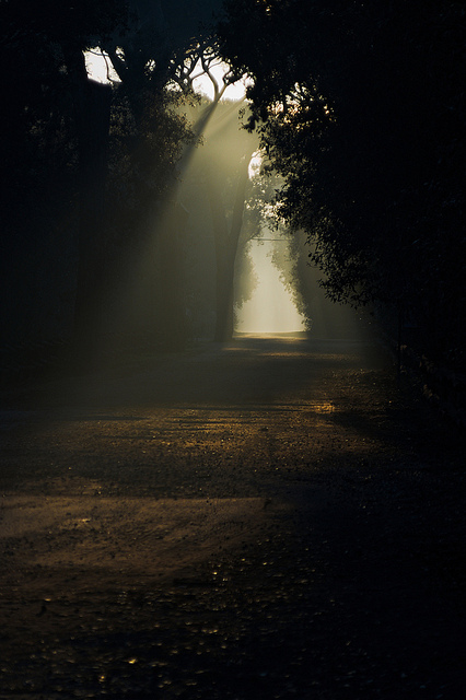 Viale della Villa di Plinio, Lido di Ostia (RM)