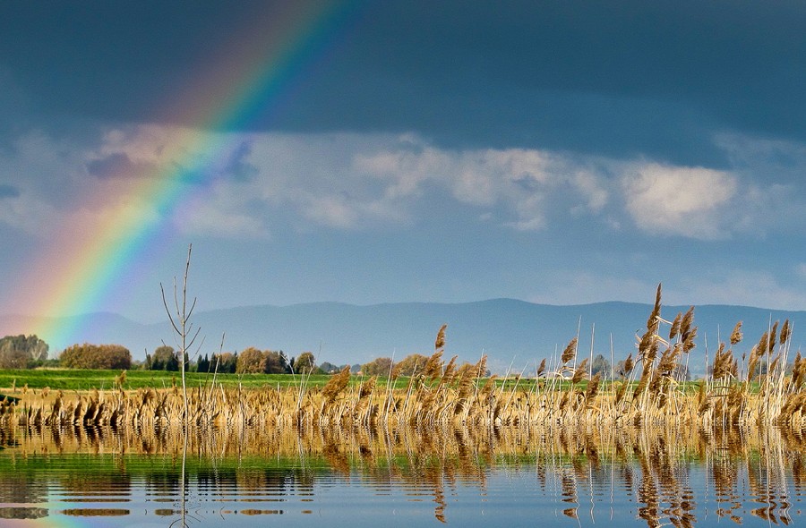 Augurandosi un anno migliore