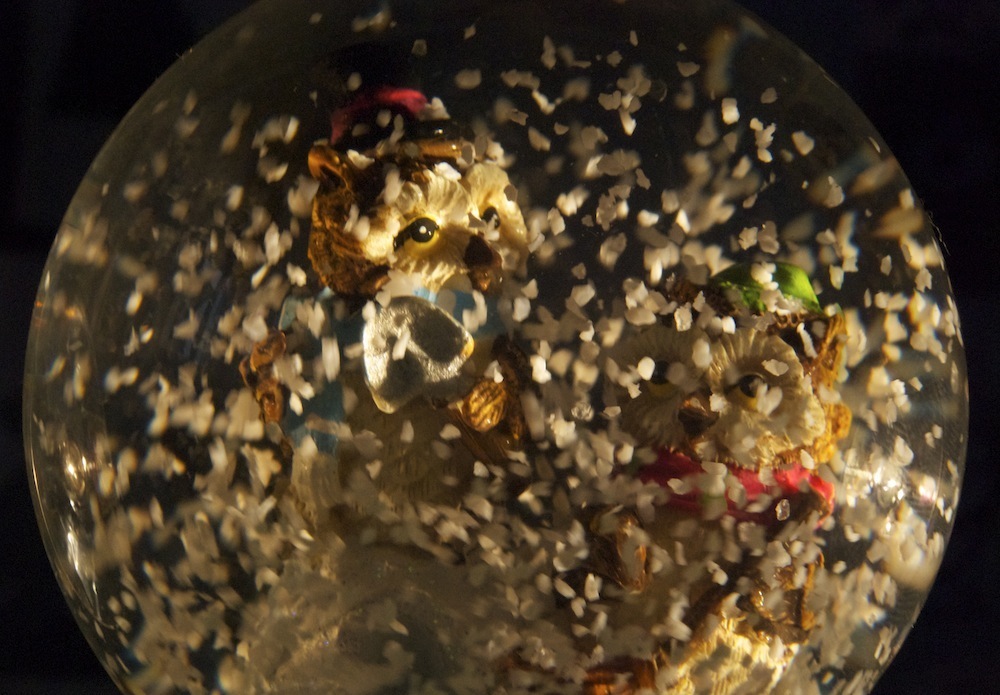 Snowglobes