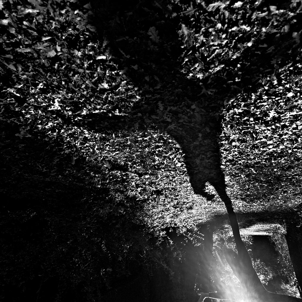 The Girl Who Loved Tom Gordon