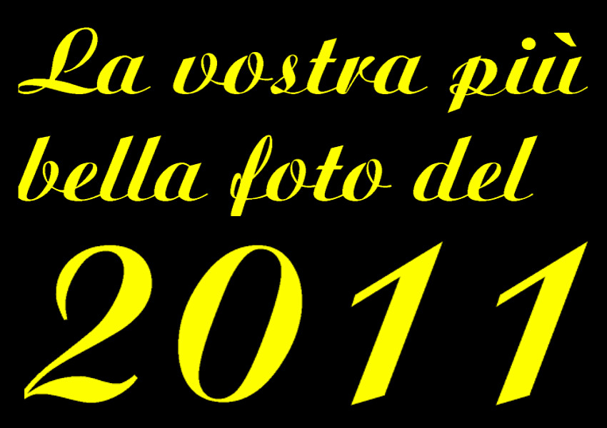 la vostra pi� bella foto del 2011