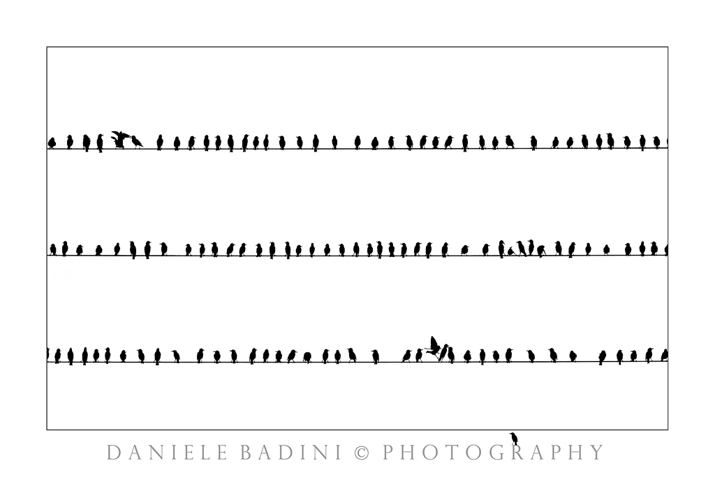 c'� sempre qualcuno che non sta al suo posto!!!