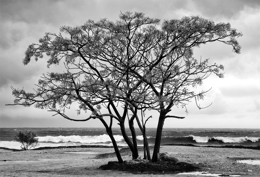 lapped by the sea wave