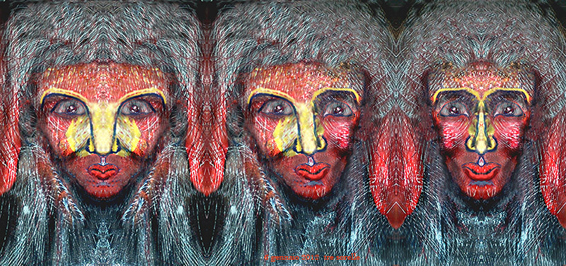 Gli occhi tristi delle tre sorelle 2012