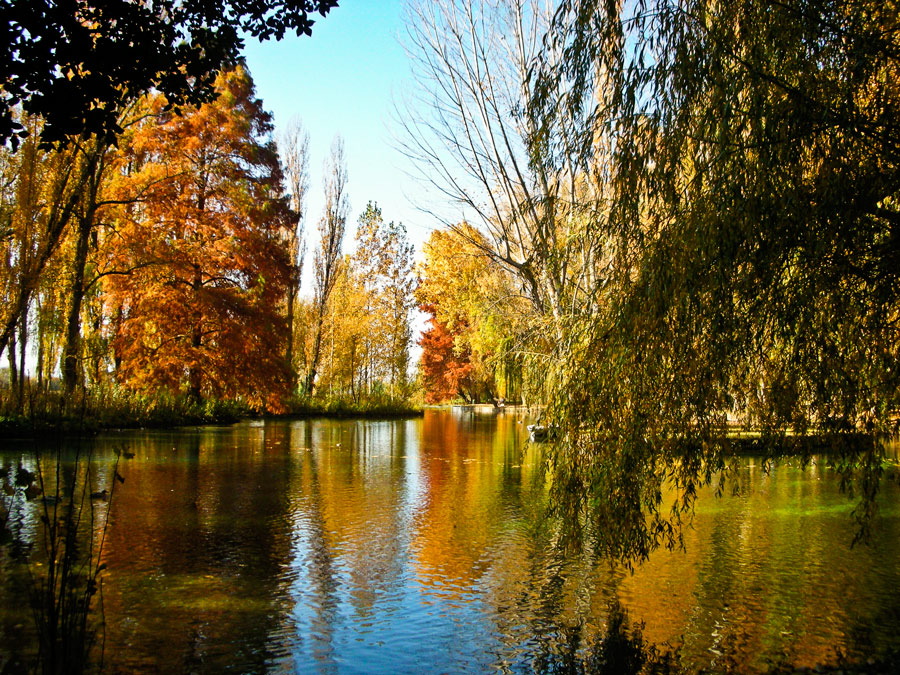 ALLE FONTI DEL CLITUNNO