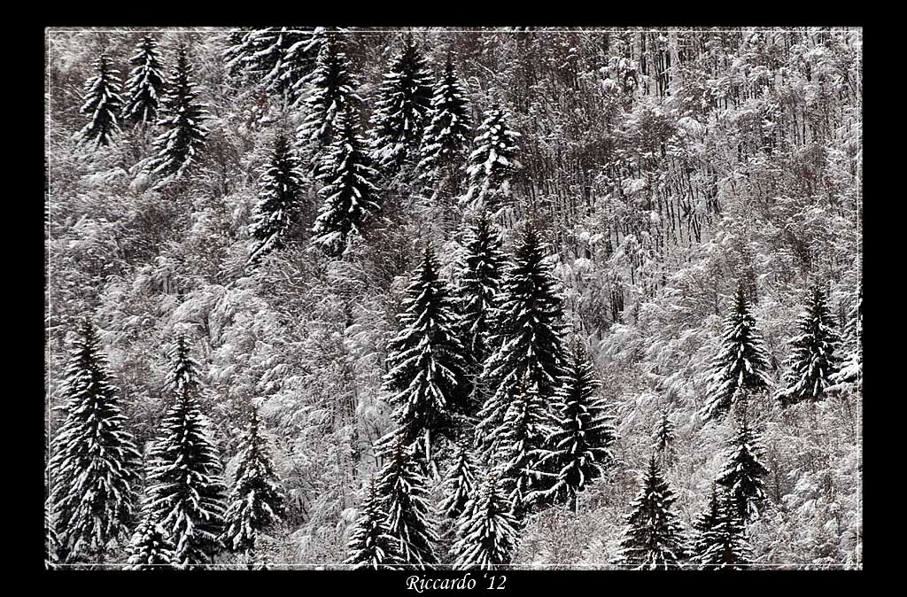 Semplicemente...inverno