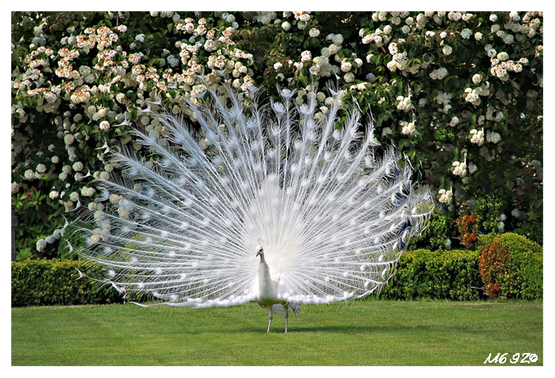 finalmente una ruota!!!