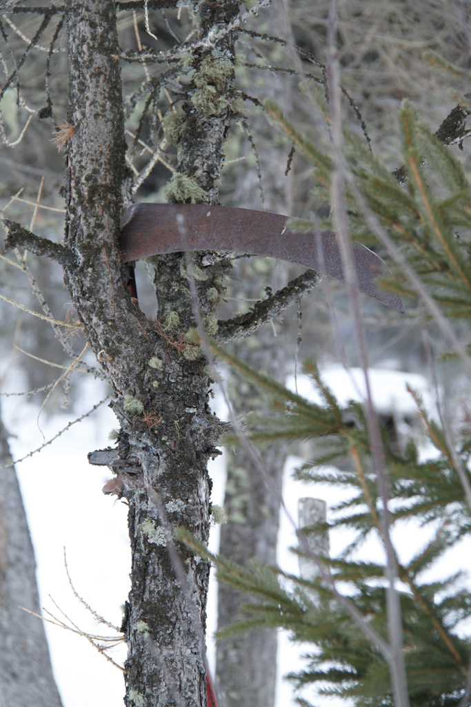 Pericolo nascosto!!!