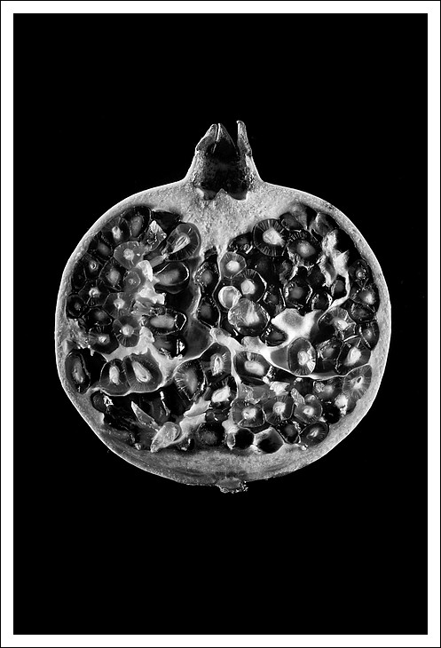 Serie : Biancoeneroamet�