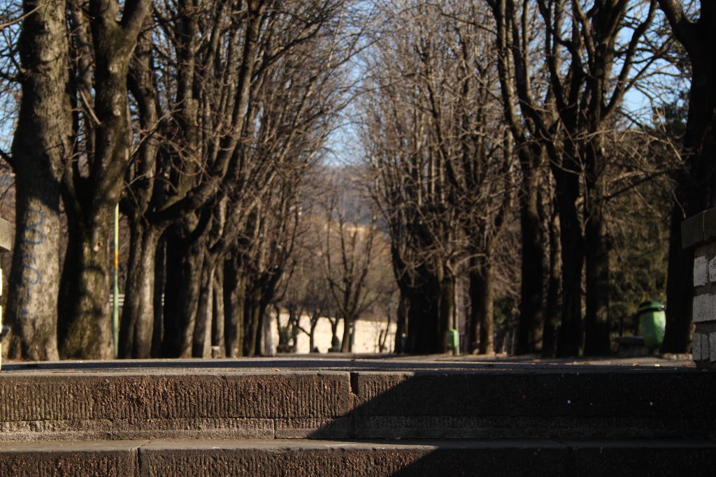 prospettive dal basso