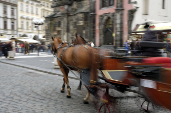 In carrozza please!