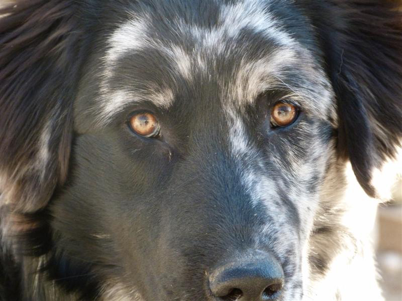 Guardandosi negli occhi