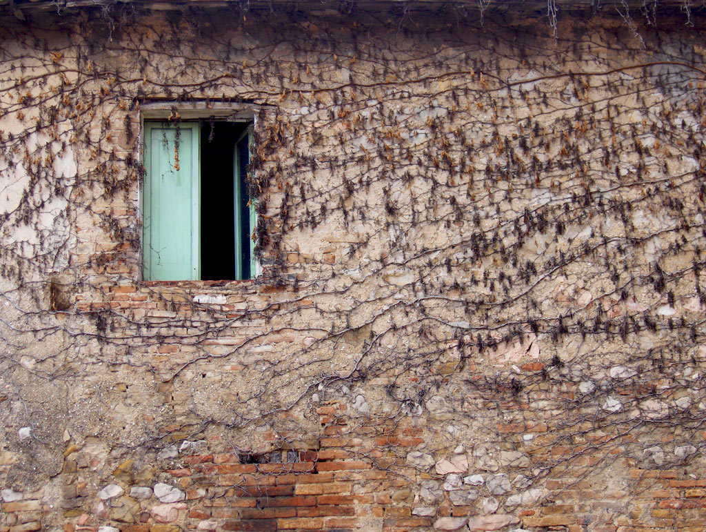 Lo specchio dell'anima