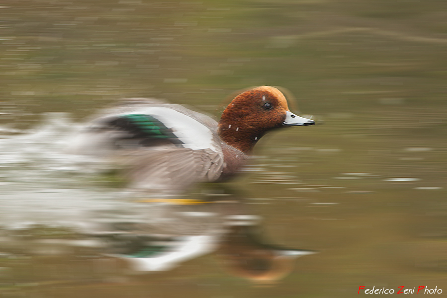 Movimento a filo d'acqua...