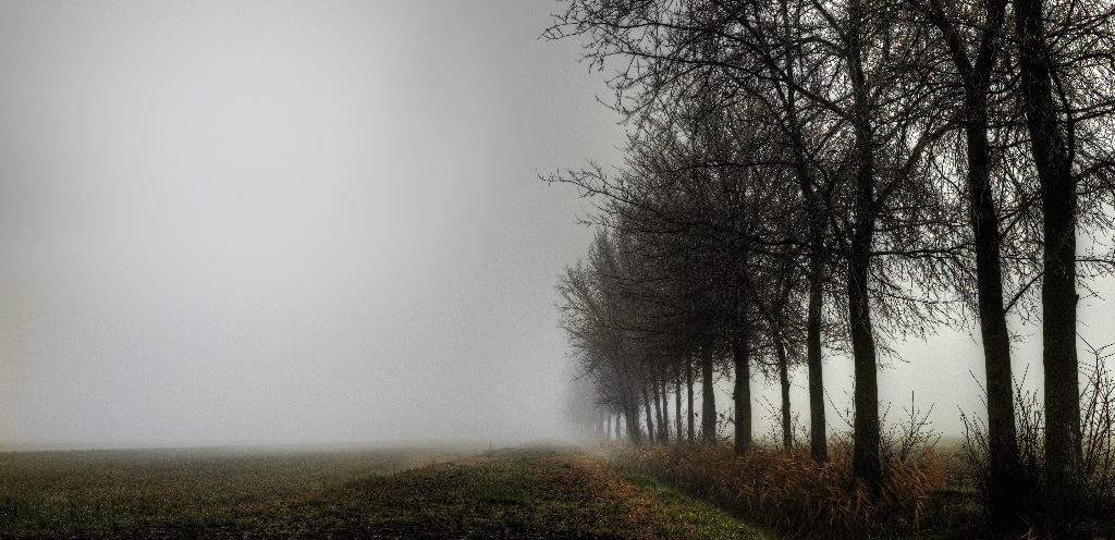 Come soldati nella nebbia